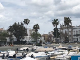 IMG_0331