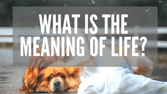 What is the Meaning of Life