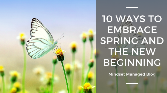 10 Ways to Embrace Spring and the New Beginning